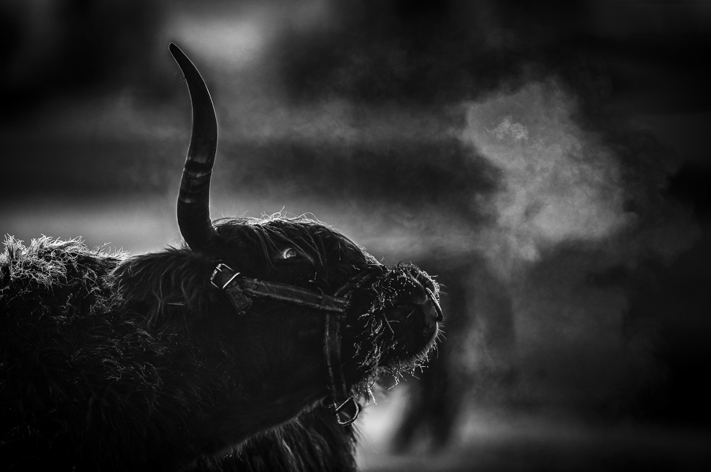 6. Platz Johann Kerler